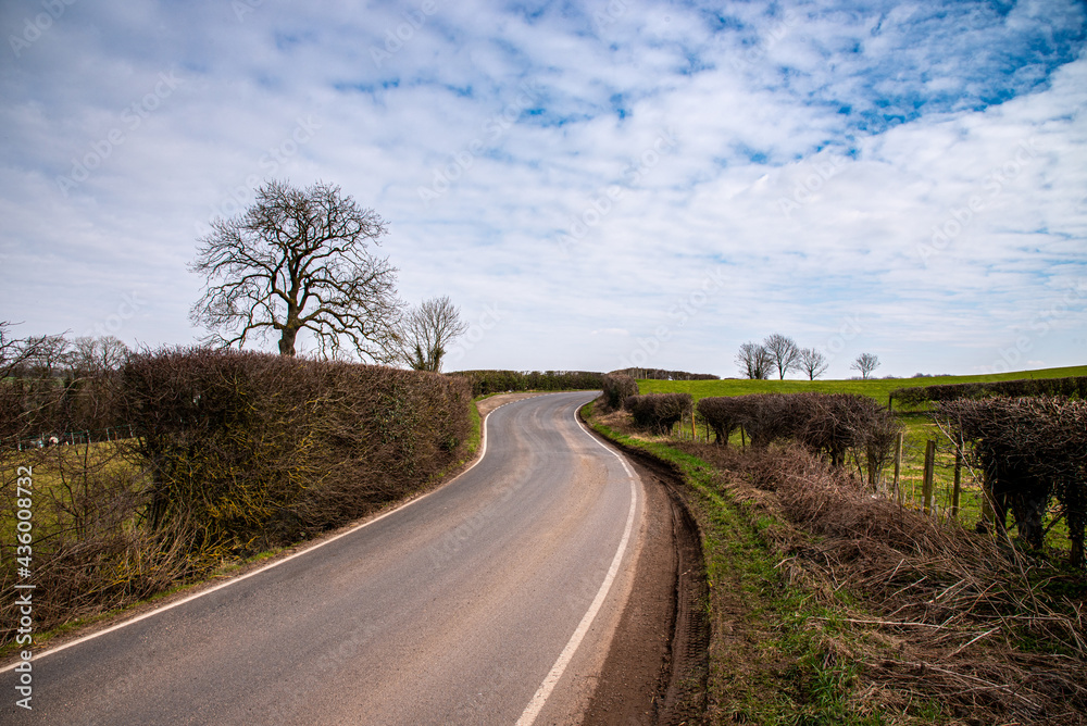 Naklejka premium winding road in the countryside