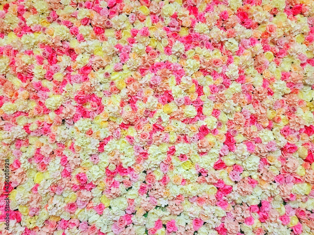 Fototapeta premium pink flowers