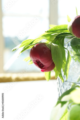 Fototapeta Naklejka Na Ścianę i Meble -  Bouquet of red peonies in a vase on the table