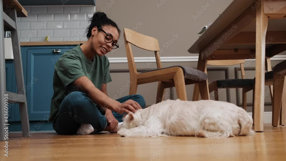 A positive african american woman is petting her dog while sitting on the floor in the kitchen at home A positive african american woman is petting her dog while sitting on the floor in the kitchen at home