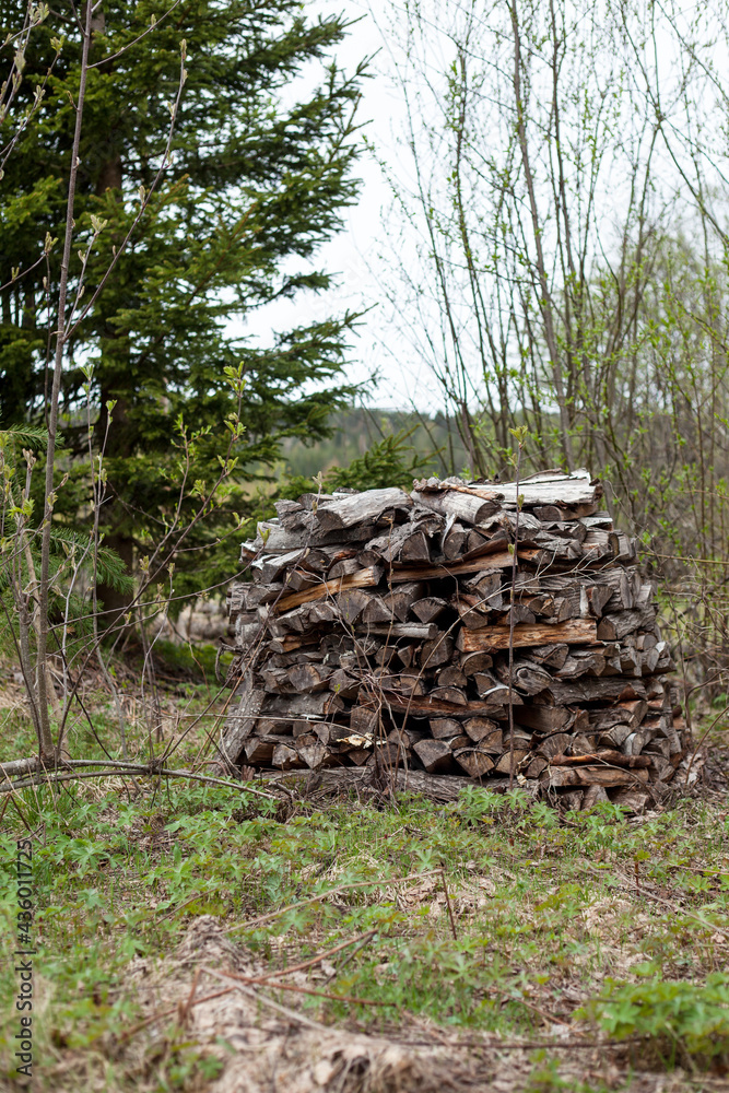 Stack of firewood in the garden