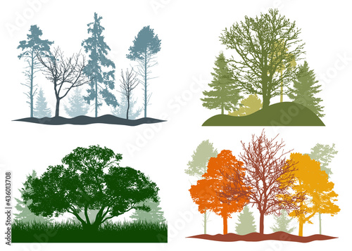 Four seasons, silhouette of summer, autumn, winter, spring woodland, landscape. Vector illustration