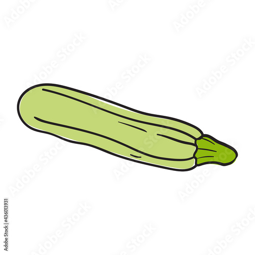 Zucchini vector icon