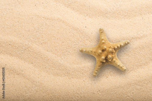 Top view of Horned Starfish on the sandy beach