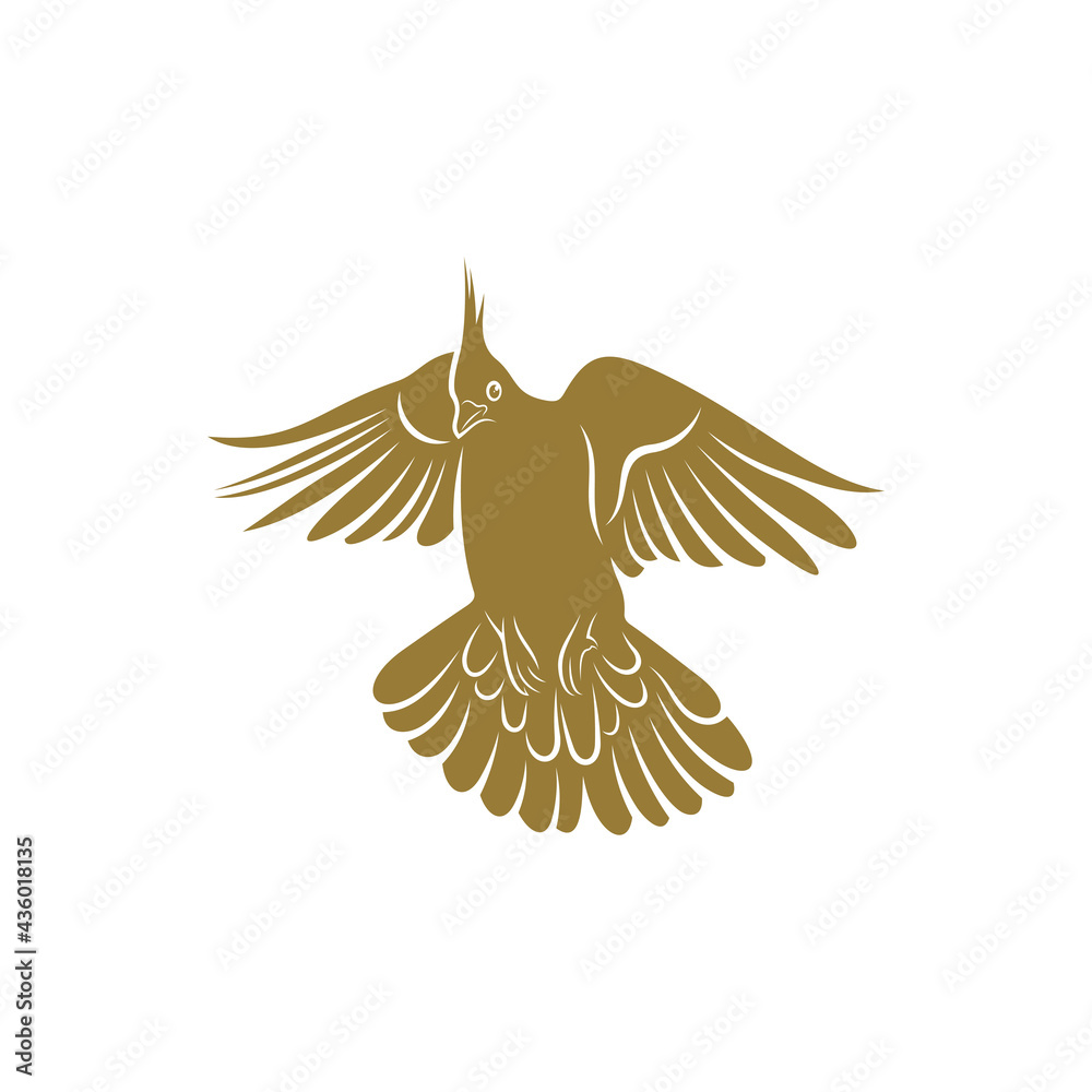 Naklejka premium Crested Pigeon bird vector illustration. Crested Pigeon bird logo design concept template. Creative symbol