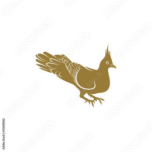 Crested Pigeon bird vector illustration. Crested Pigeon bird logo design concept template. Creative symbol