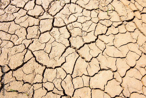 Dürre und Trockenheit mit rissigem Boden am Forggensee im Allgäu