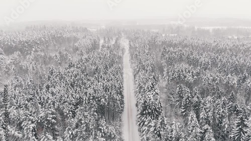 AERIAL Forest in snow. Flying over snowy pines on a winter day