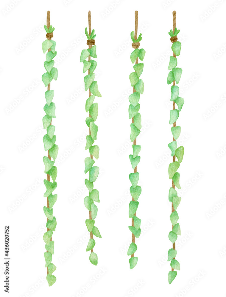 Watercolor greenery garland illustration. Hand drawn hanging leaves isolated on white. Floral wall decoration, rustic design, eco decor for wedding, party, garden and home Watercolor greenery garland illustration. Hand drawn hanging leaves isolated on white. Floral wall decoration, rustic design, eco decor for wedding, party, garden and home