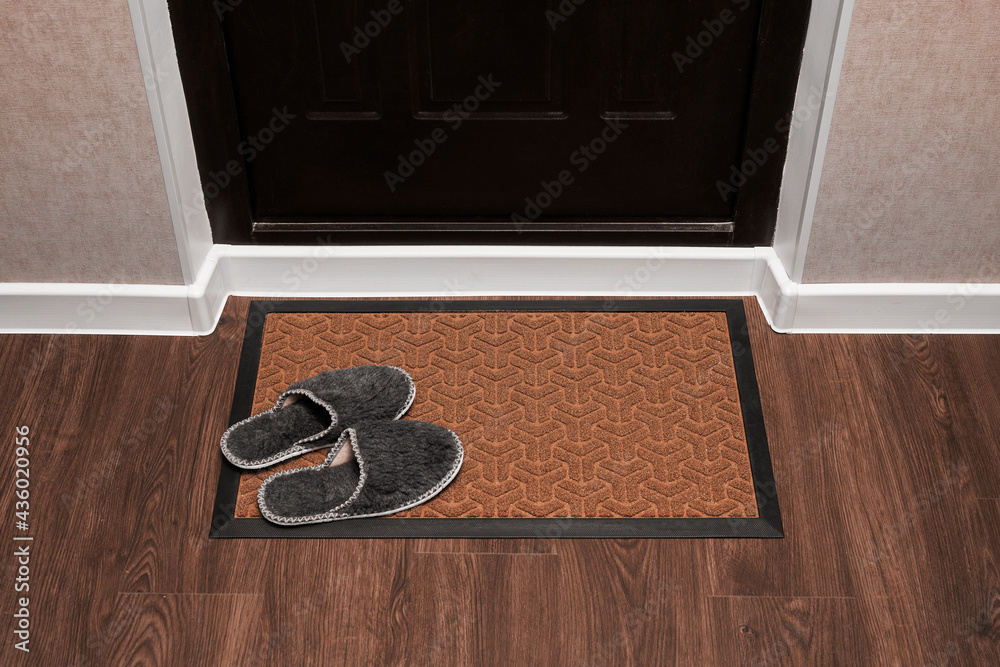 Rug Top View Of Door