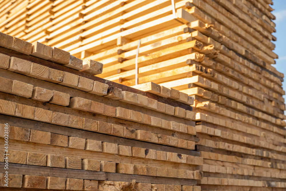 Storage of piles of wooden boards on the sawmill. Boards are stacked in a carpentry shop. Sawing drying and marketing of wood. Pine lumber for furniture production, construction. Lumber Industry. Storage of piles of wooden boards on the sawmill. Boards are stacked in a carpentry shop. Sawing drying and marketing of wood. Pine lumber for furniture production, construction. Lumber Industry.
