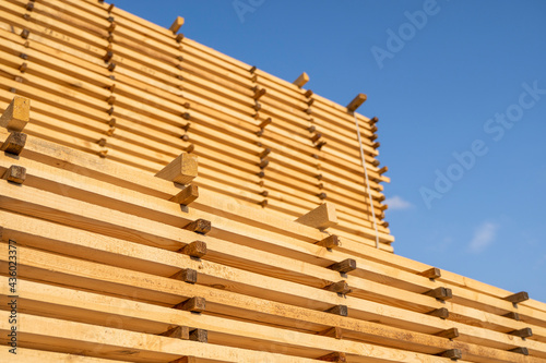 Storage of piles of wooden boards on the sawmill. Boards are stacked in a carpentry shop. Sawing drying and marketing of wood. Pine lumber for furniture production  construction. Lumber Industry.