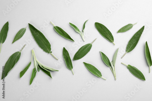 Fresh green sage leaves on light background, flat lay