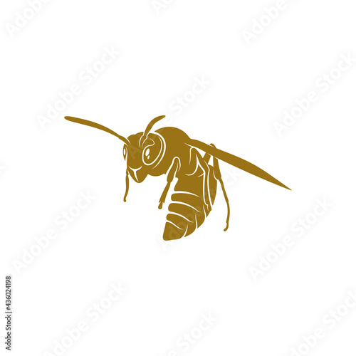 Wasp vector illustration. Wasp logo design concept template. Creative symbol