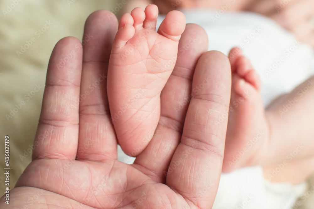 Cute little newborn baby feet in parent hand. Kid skin care concept. Cute little newborn baby feet in parent hand. Kid skin care concept.