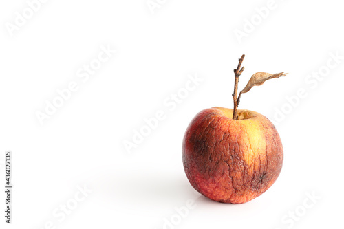 The apple withered and wrinkled, Isolated on a white background photo