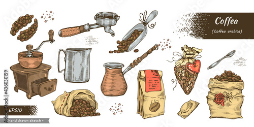 Coffea arabica. Coffee tools color. Caffeine grain.