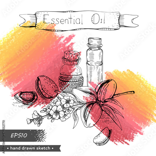 Branch of almond with some flowers, nuts and essential oils
