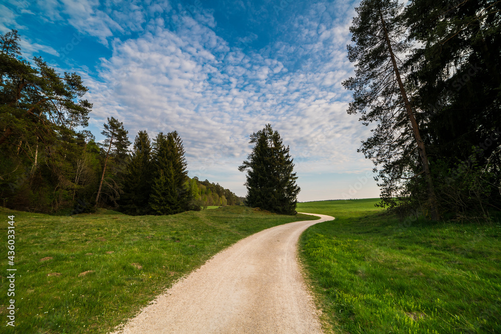 Germany, Curved hiking trail alongside edge of the forest under beautiful blue sky and some clouds perfect for sports