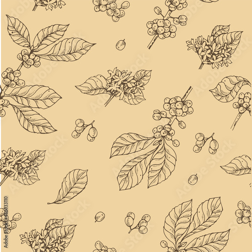 Wallpaper Mural Seamless pattern with coffee tree branches and flowers Torontodigital.ca