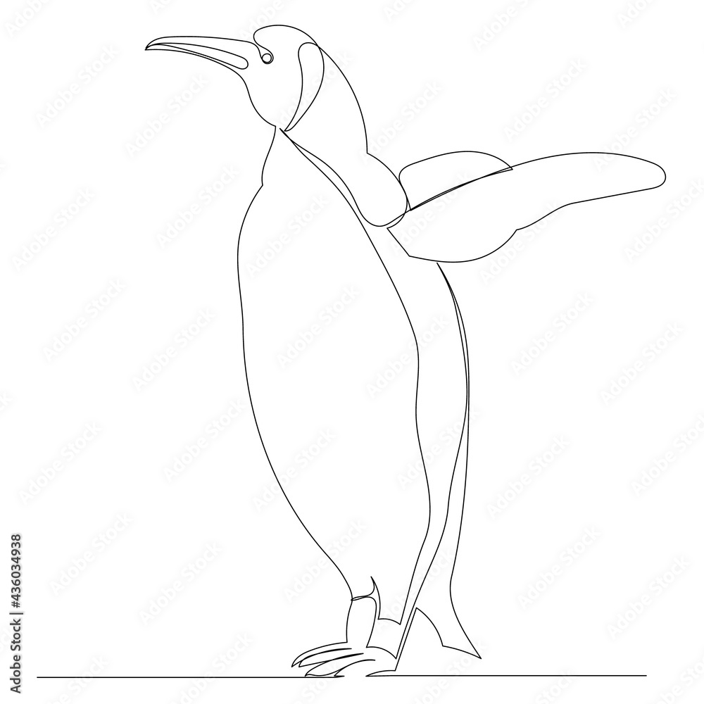 penguin drawing by continuous line, isolated penguin drawing by continuous line, isolated