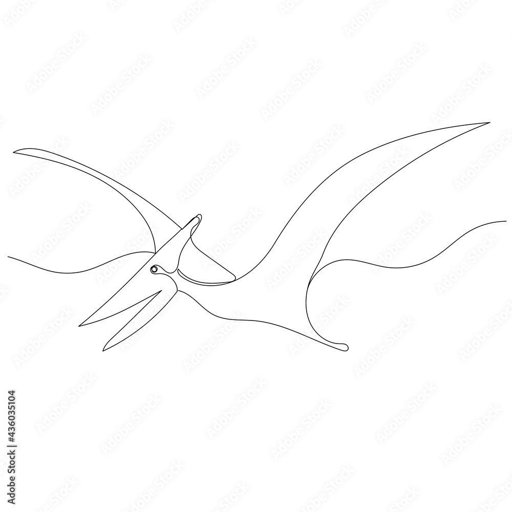 Obraz premium dinosaur flying continuous line drawing, sketch, isolated