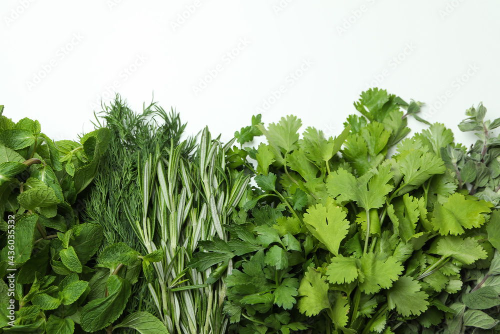 Fresh herbs on white background, space for text Fresh herbs on white background, space for text