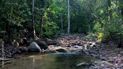 a beatiful calm environment near the waterfall in the jungle in Kedah Malaysia