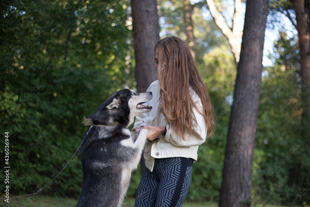 the girl is very happy with the dog the girl is very happy with the dog