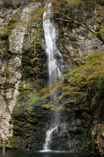 Scenery around Minoh Park.   The name of the waterfall is Mino Otaki.