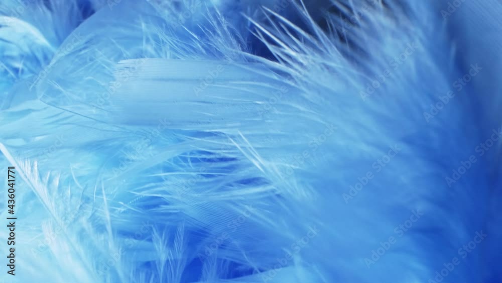 super close-up, details. blue fluff in a neckpiece. copy space super close-up, details. blue fluff in a neckpiece. copy space