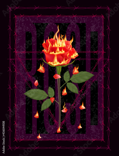 The rose was on fire and surrounded by barbed wire. Sizzling love, red burning. Passionate heart. Design for t-shirt screen printing. Vector Illustration