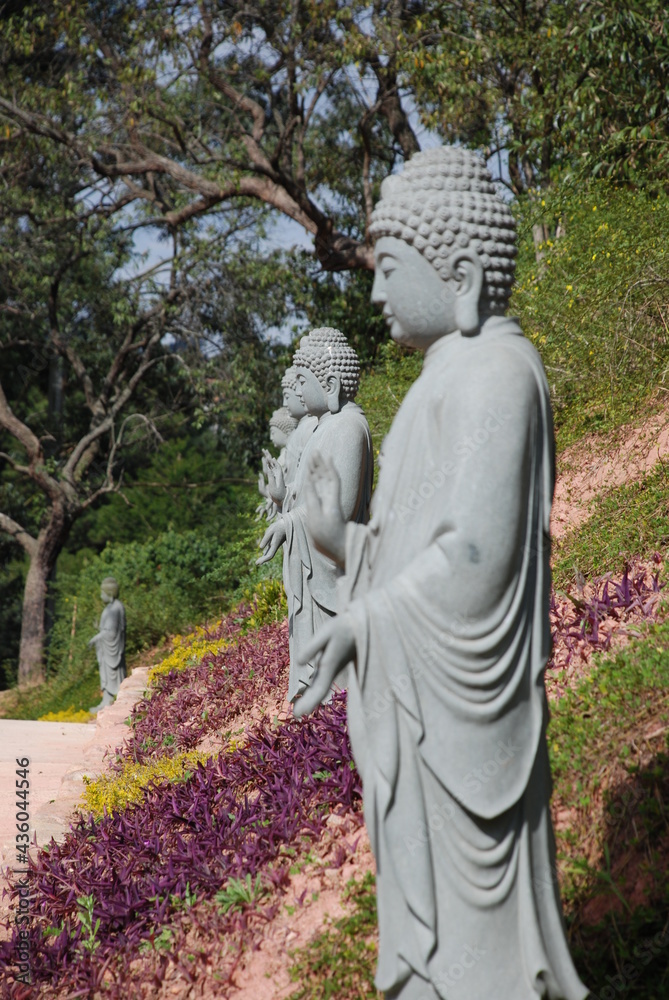 Buddha Garden