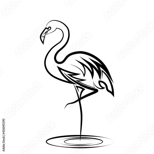 Line art vector illustration of flamingo. It is standing with one leg.
