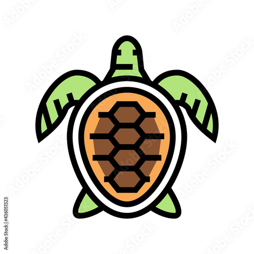 turtle ocean color icon vector. turtle ocean sign. isolated symbol illustration
