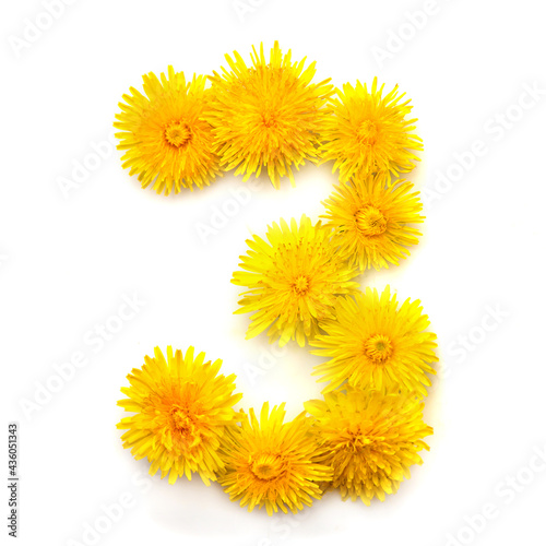 Number 3 of yellow dandelions flowers