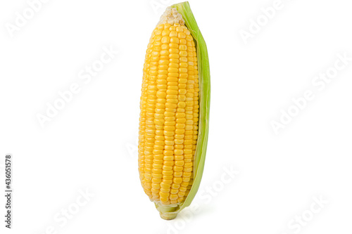 Fresh sweet corn with husk isolated on white background