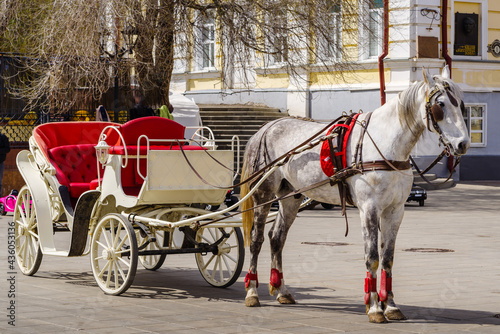 Orenburg, Sovetskaya street, Russia - May, 1, 2021: Carriage with a horse on a city street in spring