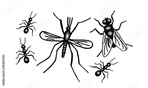 insectes, moustique, mouche, fourmi