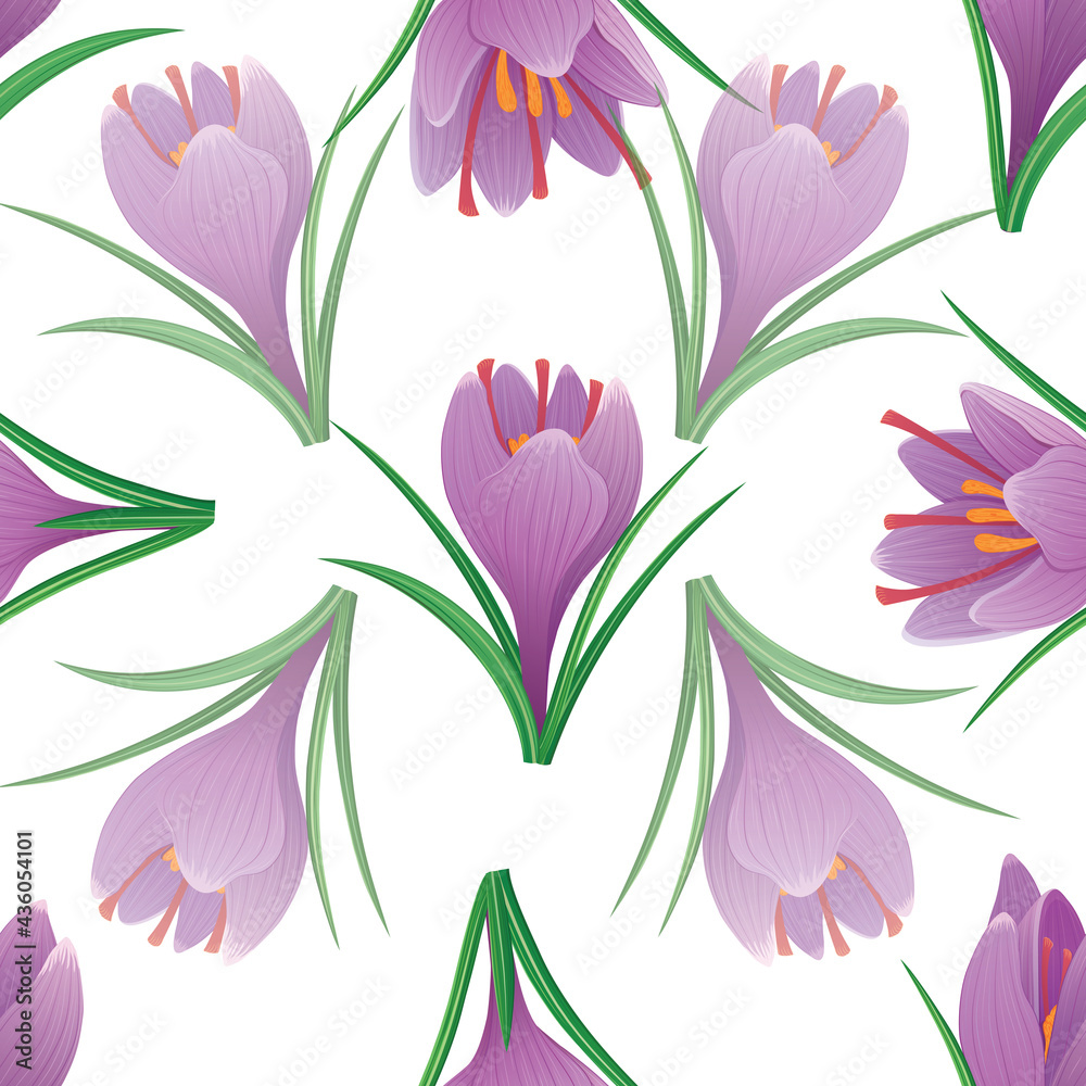 vector seamless pattern with crocus purple flowers 2