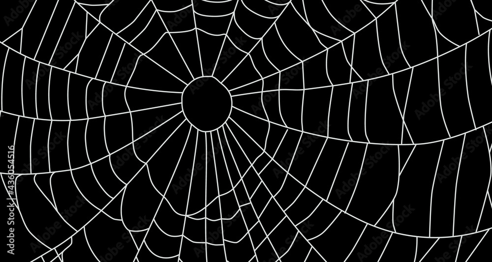 Cobweb, isolated on black background.