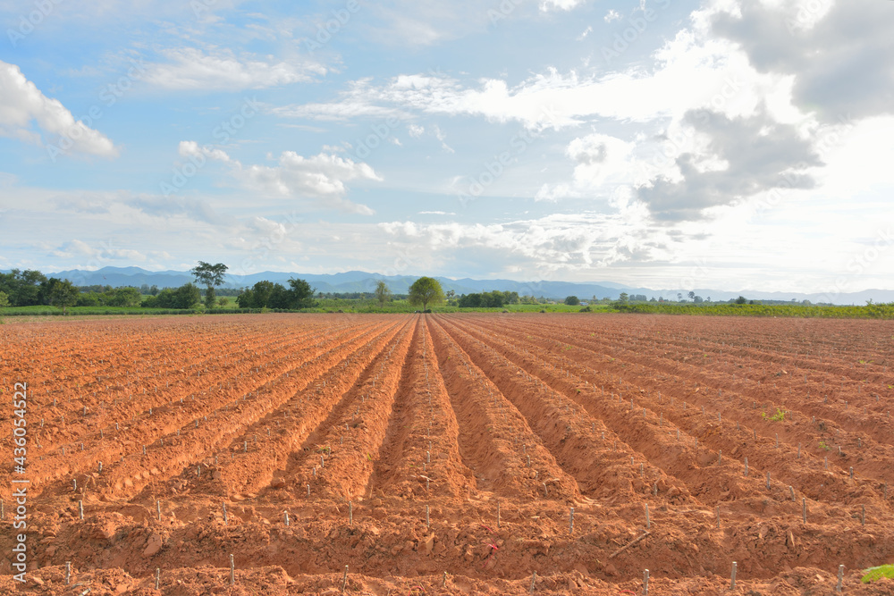 Lines of soil made by tractors has blue sky and mountain background ,agriculture in Thailand