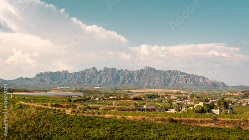 Vineyards of Masquefa with Montserrat mountain range in the background, Catalonia, Spain photo