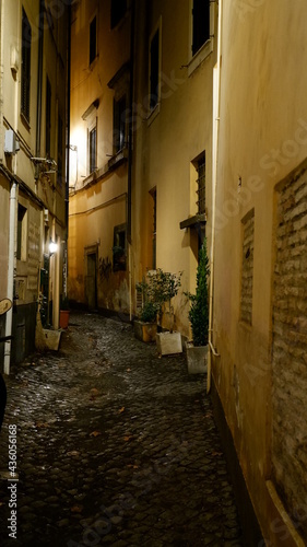 Central Street At Evening. Alba, Italy.