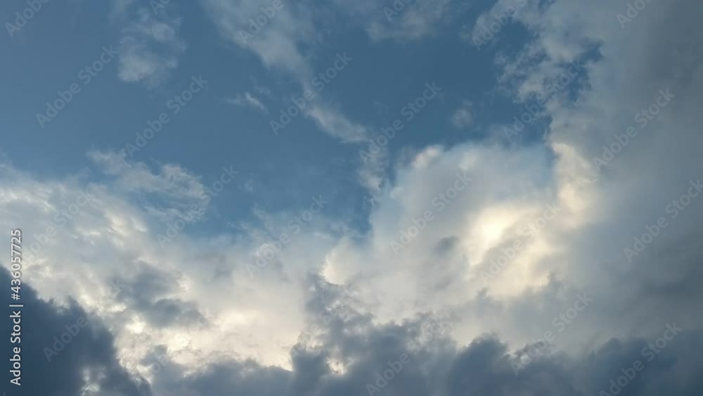 Birds flying in the beautiful sky Birds flying in the beautiful sky