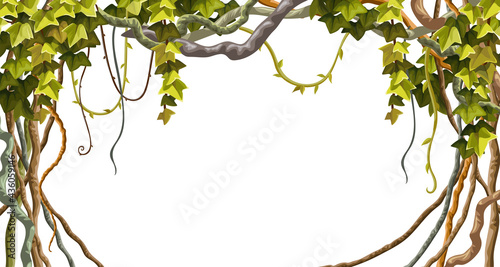 Ivy frame. Liana branches and tropical leaves. Game cartoon poster of creeper jungle. Isolated vector hedera  helix on white background.