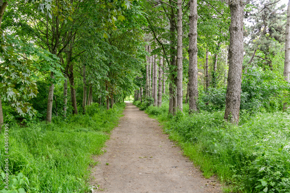 Parc Départemental des Lilas, Vitry sur Seine , 94, Val de Marne Parc Départemental des Lilas, Vitry sur Seine , 94, Val de Marne