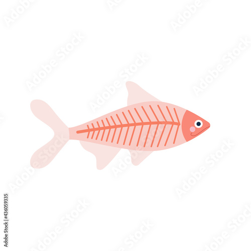 Cute X-ray fish on white background in cartoon flat style. Vector simple illustration