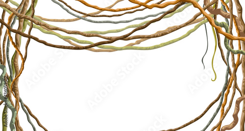 Stems hedera helix, ivy, liana, grapes, vine. Branches tropical creeper. Jungle plants. Isolated game cartoon vector frame on white background. 
