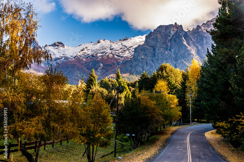 Beautiful shot of a road through a dense forest in Bariloche, Patagonia, Argentina